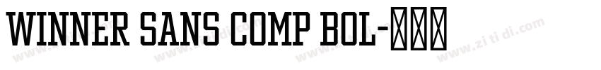 Winner Sans Comp Bol字体转换
